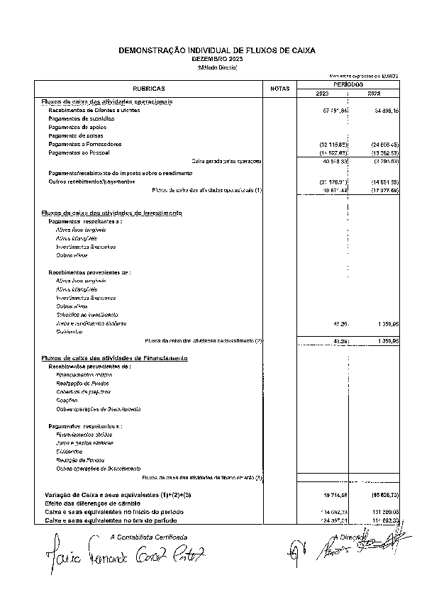 PDF de Demonstração Fluxos de Caixa