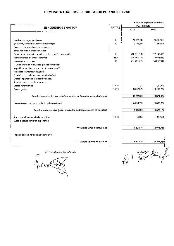 PDF de Demonstração dos Resultados por Natureza