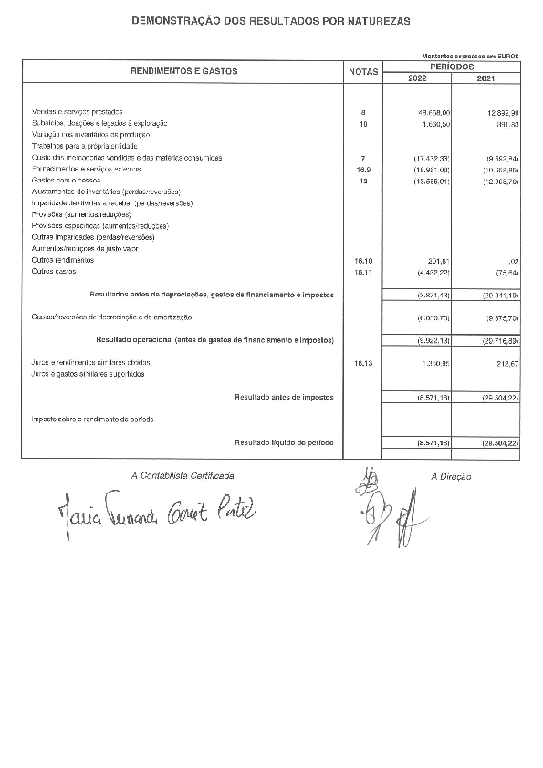 PDF de Demonstração dos resultados por naturezas