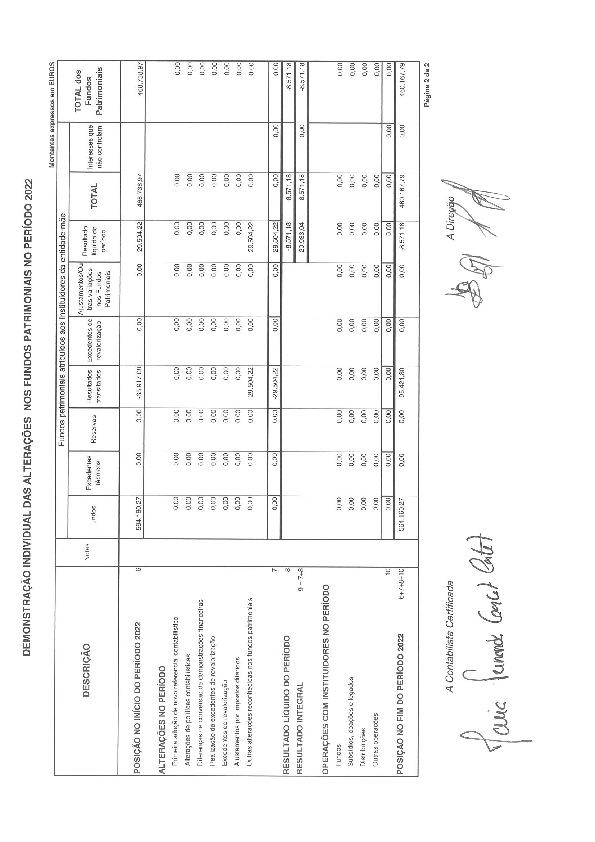 PDF de Demonstração individual das alterações nos fundos patrimoniais no período 2022