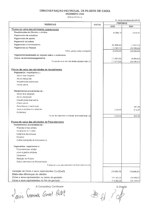PDF de Demonstração individual de fluxos de caixa