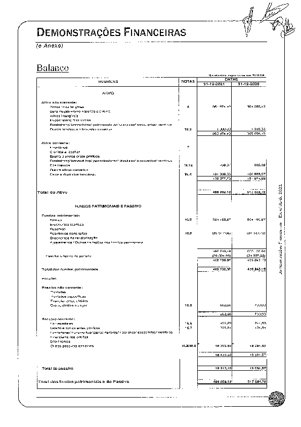 PDF de Demonstrações financeiras e anexo