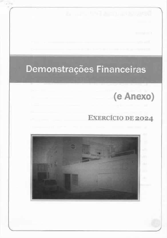 PDF de Demonstrações Financeiras e anexos 2024